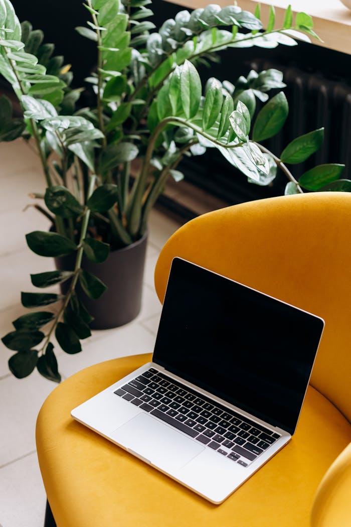 A modern laptop rests on a stylish yellow chair beside a lush indoor plant, creating a serene workspace.